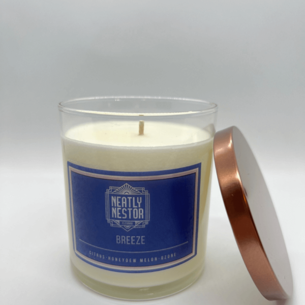 Breeze is a fresh aquatic scent that will make you want to go to the beach. With its citrus and salt ozone top notes, this fragrance will give any room a crisp and delightful fragrance of clean sea air. Tea Light: $2.00 Candle: $18.00